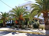 Poseidon Hotel #2